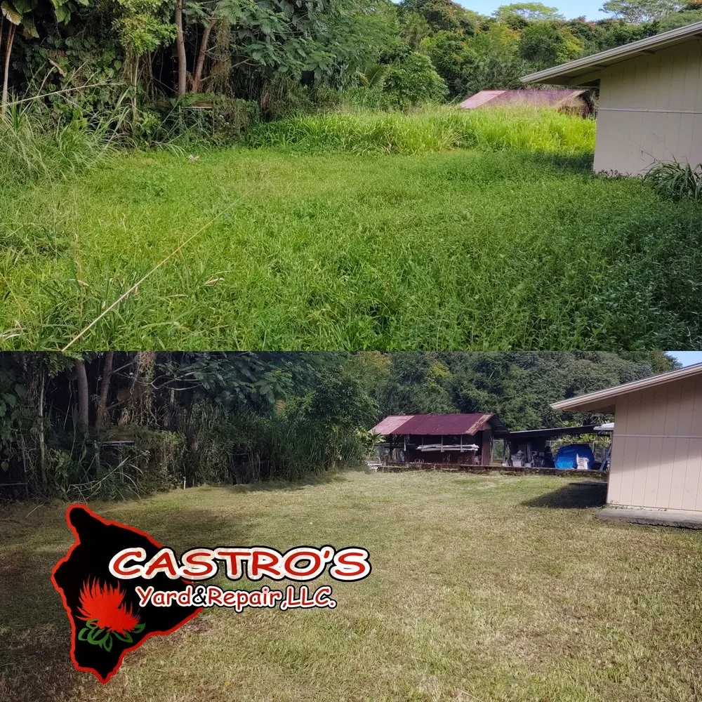 Top-rated landscape installation experts serving Mountain View, HI - Castros yards & repairs