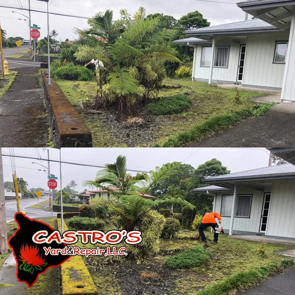 Local landscape design in Mountain View, HI by Castros yards & repairs