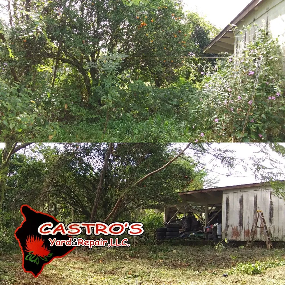 Expert landscape installation in Mountain View, HI by Castros yards & repairs