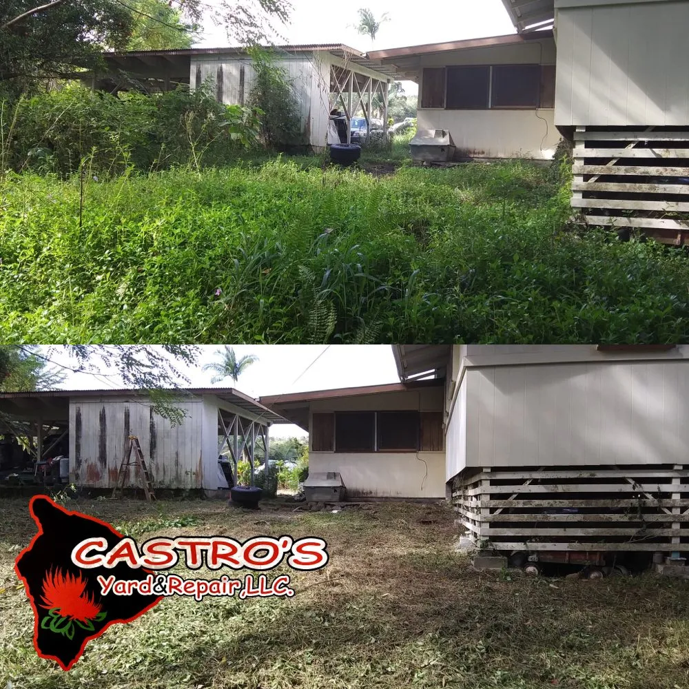 Professional yard cleanup service for year-round maintenance across Mountain View, HI - Castros yards & repairs