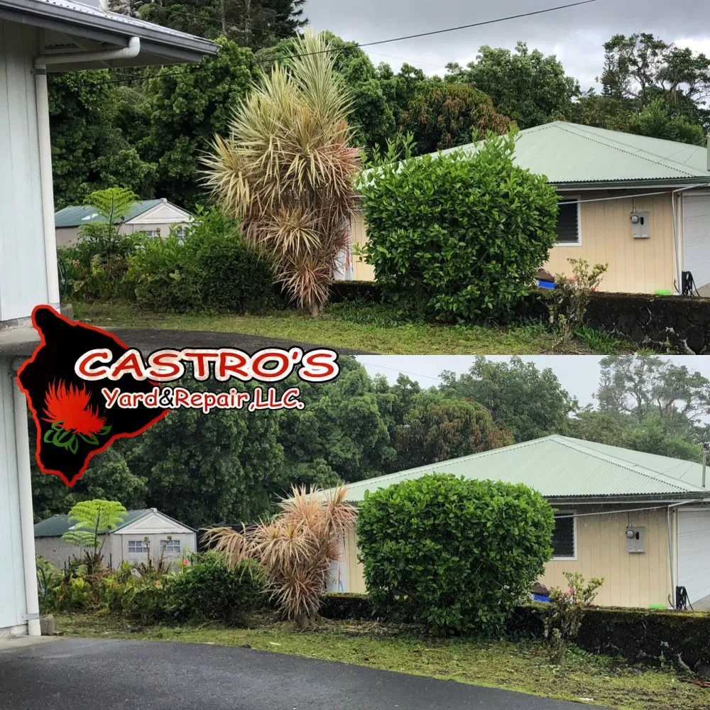 Reliable outdoor landscaping experts serving Mountain View, HI - Castros yards & repairs