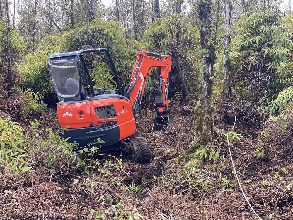 Professional yard cleanup service experts serving Mountain View, HI - Castros yards & repairs