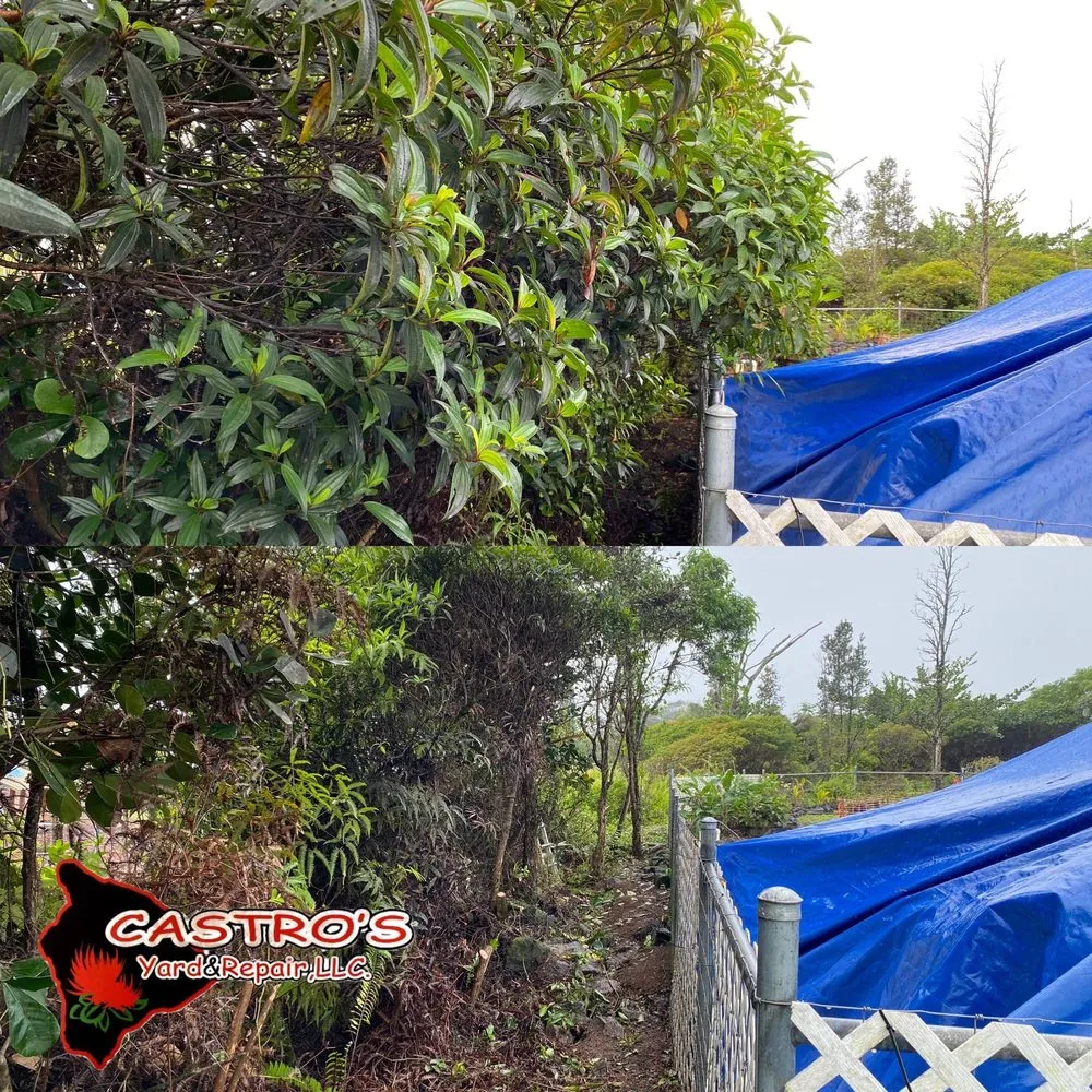 Local yard cleanup service in Mountain View, HI by Castros yards & repairs