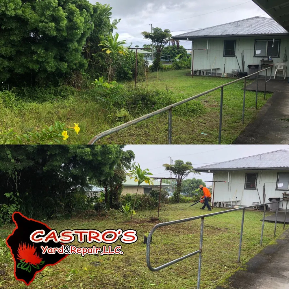 Reliable residential landscaping in Mountain View, HI by Castros yards & repairs