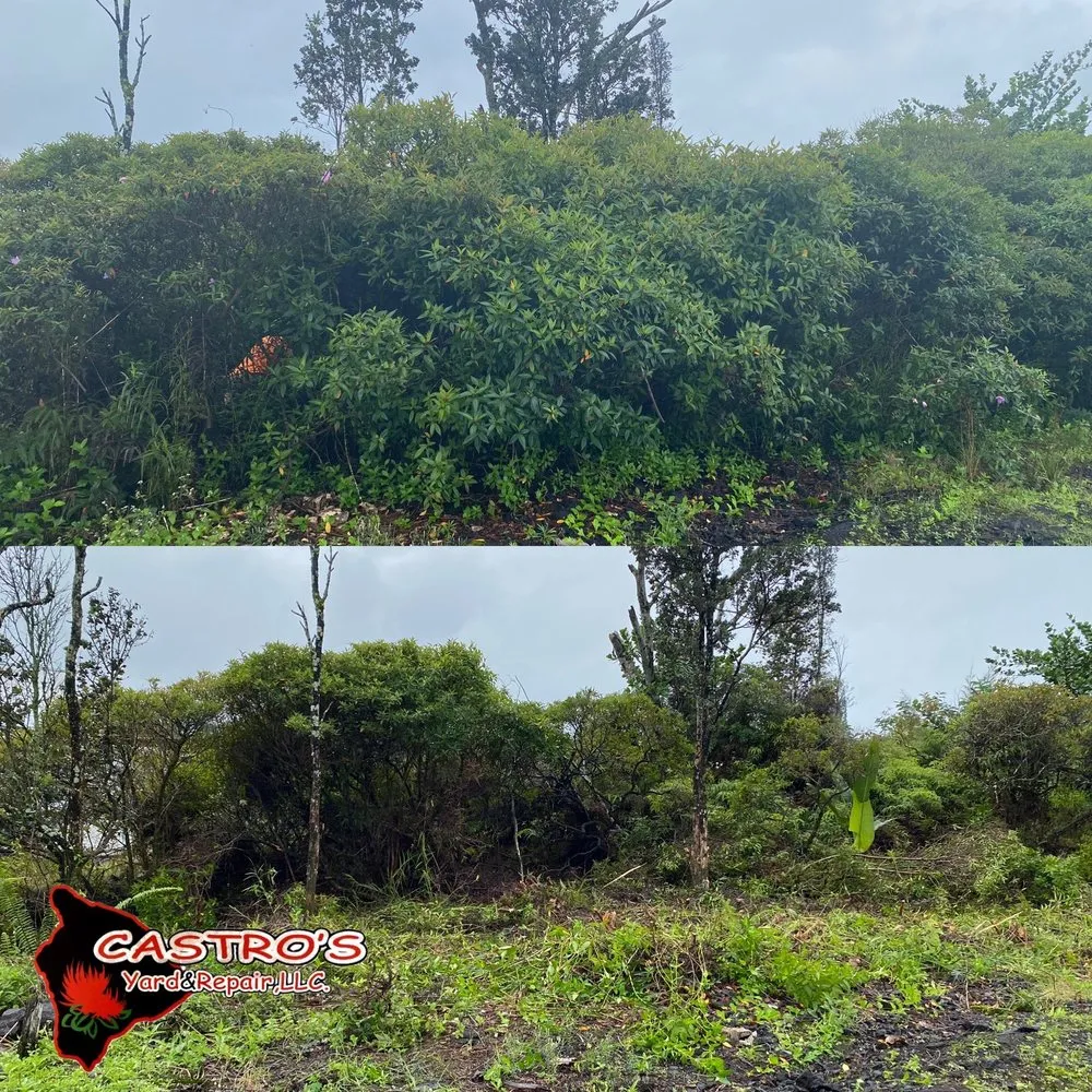 Custom landscape design in Mountain View, HI - Castros yards & repairs