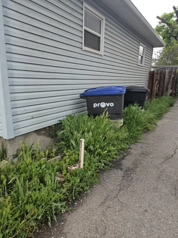 Local outdoor landscaping in Provo, UT - Casualscape Lawn Care