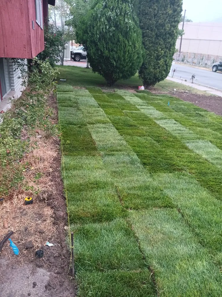 Top-rated yard maintenance for outdoor upgrades across Provo, UT - Casualscape Lawn Care