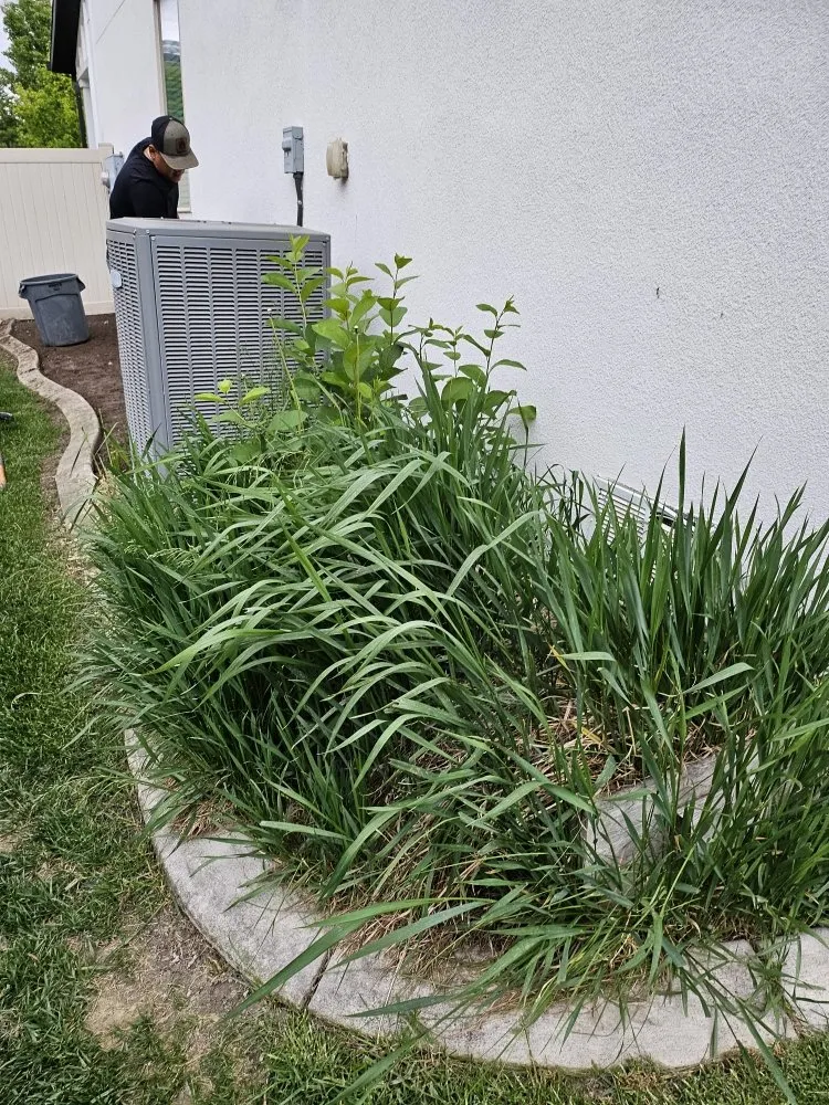 Top-rated landscape installation with custom design in Provo, UT by Casualscape Lawn Care