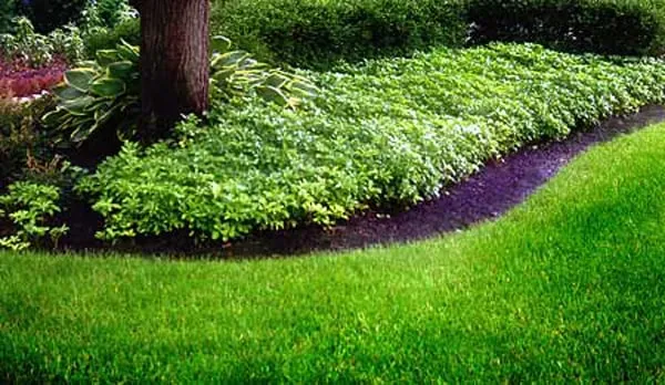 Reliable landscape installation in Whippany, NJ by CAT Services, LLC