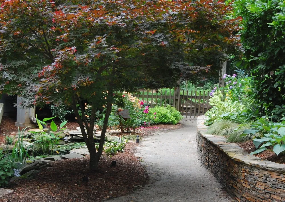 Expert residential landscaping for homes across Raleigh, NC - Cat Valand Landscape Design
