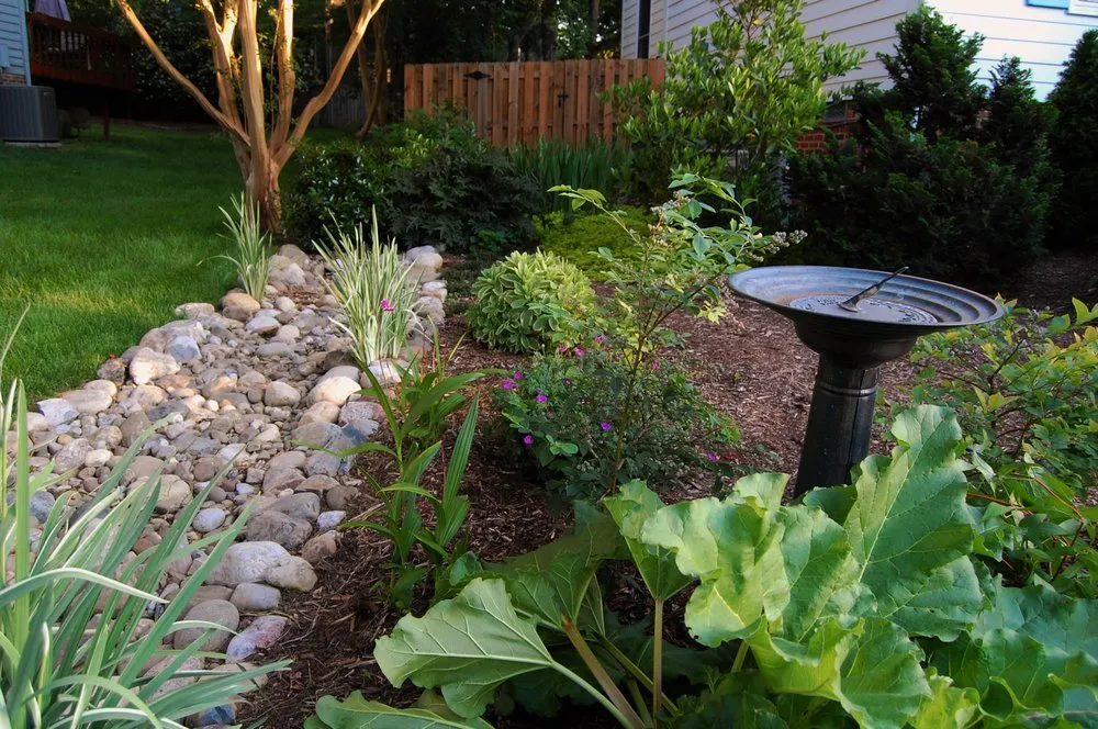 Professional yard cleanup service in Raleigh, NC by Cat Valand Landscape Design