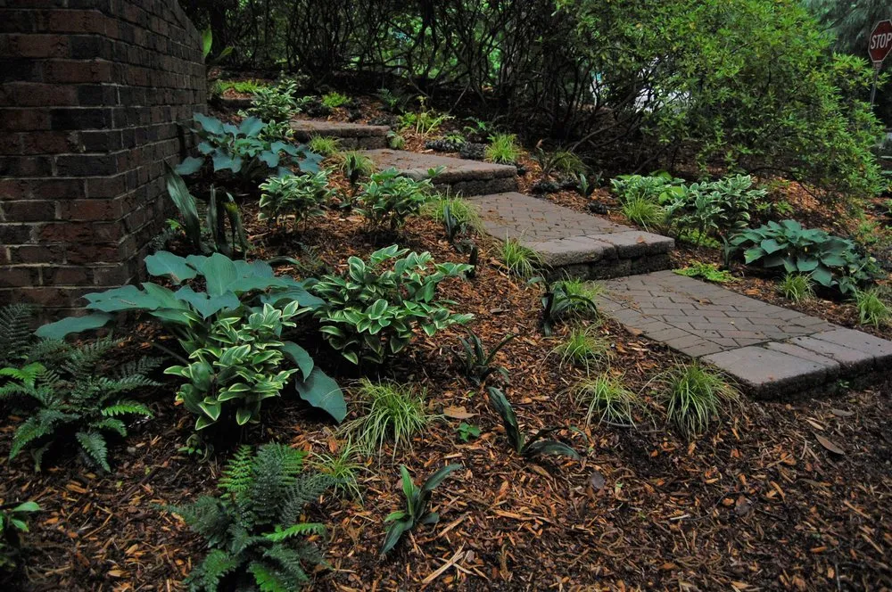 Affordable landscape design for residential properties in Raleigh, NC by Cat Valand Landscape Design