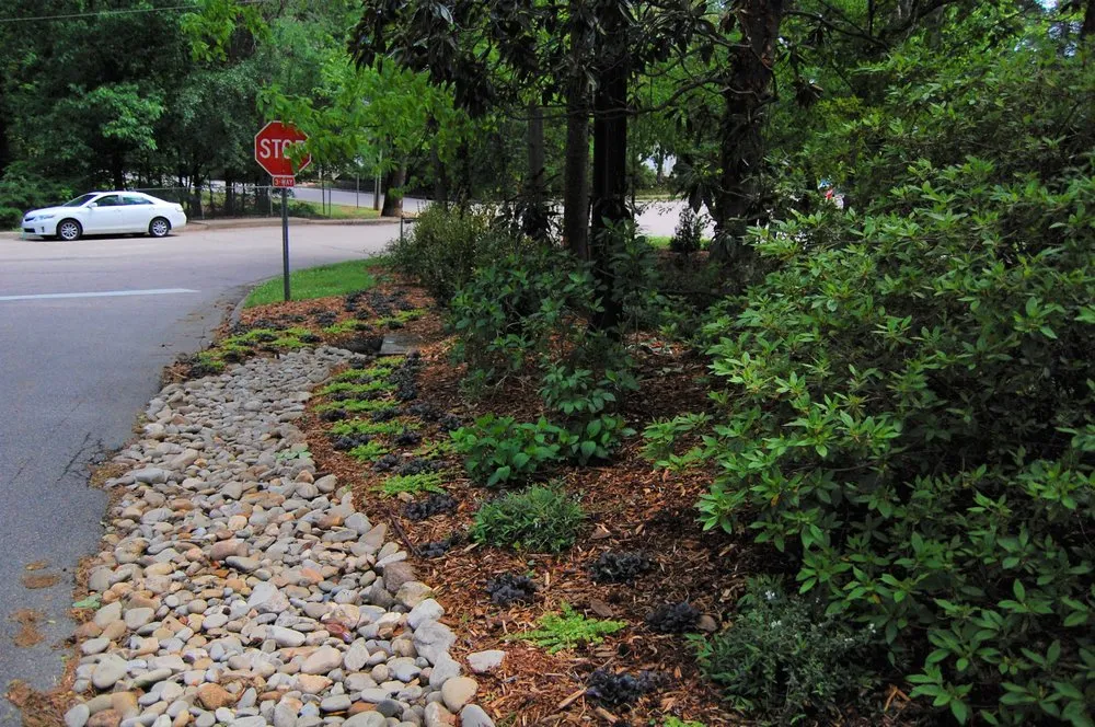 Professional lawn care service in Raleigh, NC - Cat Valand Landscape Design