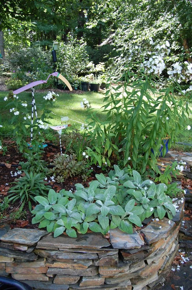 Reliable yard cleanup service near you across Raleigh, NC - Cat Valand Landscape Design