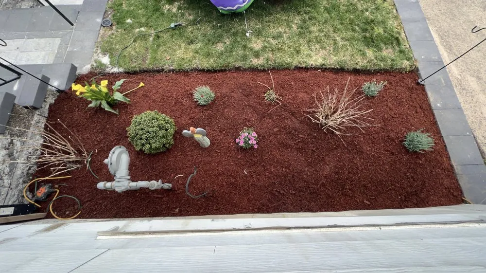 Expert yard maintenance in Clifton, NJ by Cata Landscaping