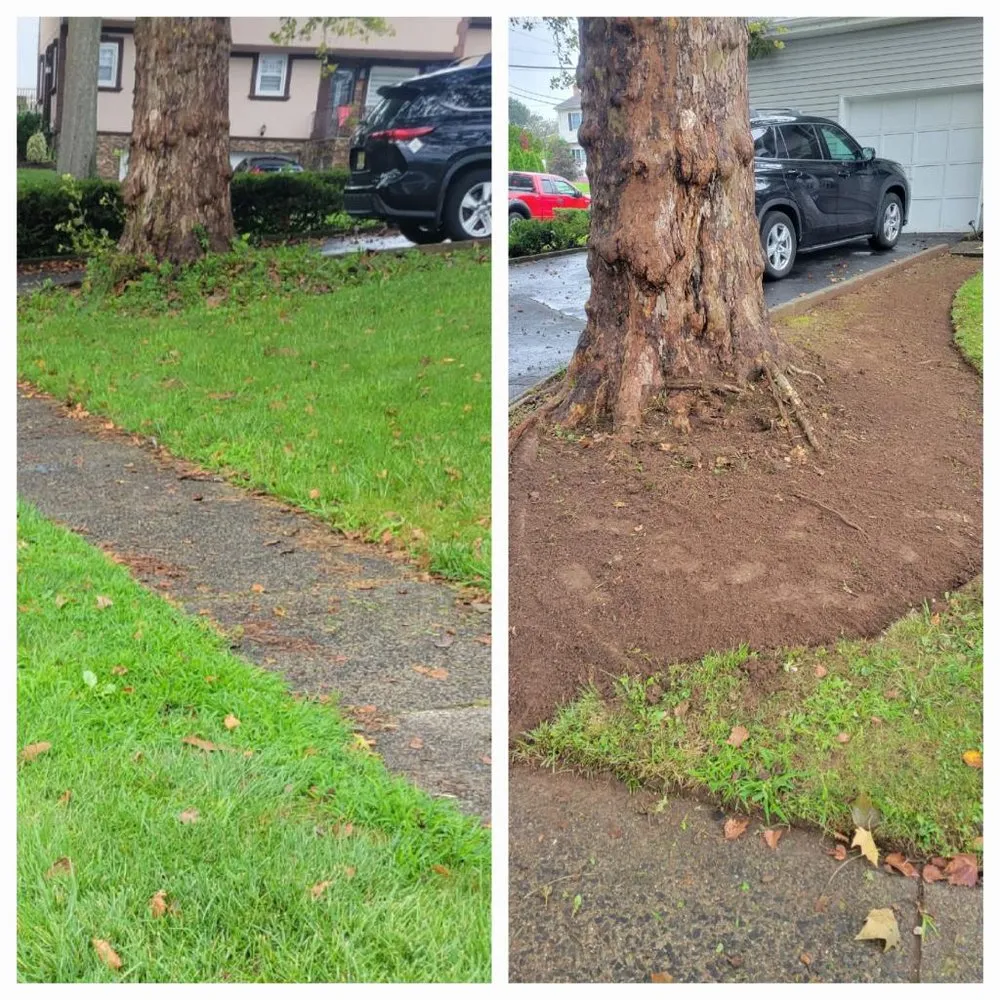 Affordable yard cleanup service in Clifton, NJ - Cata Landscaping