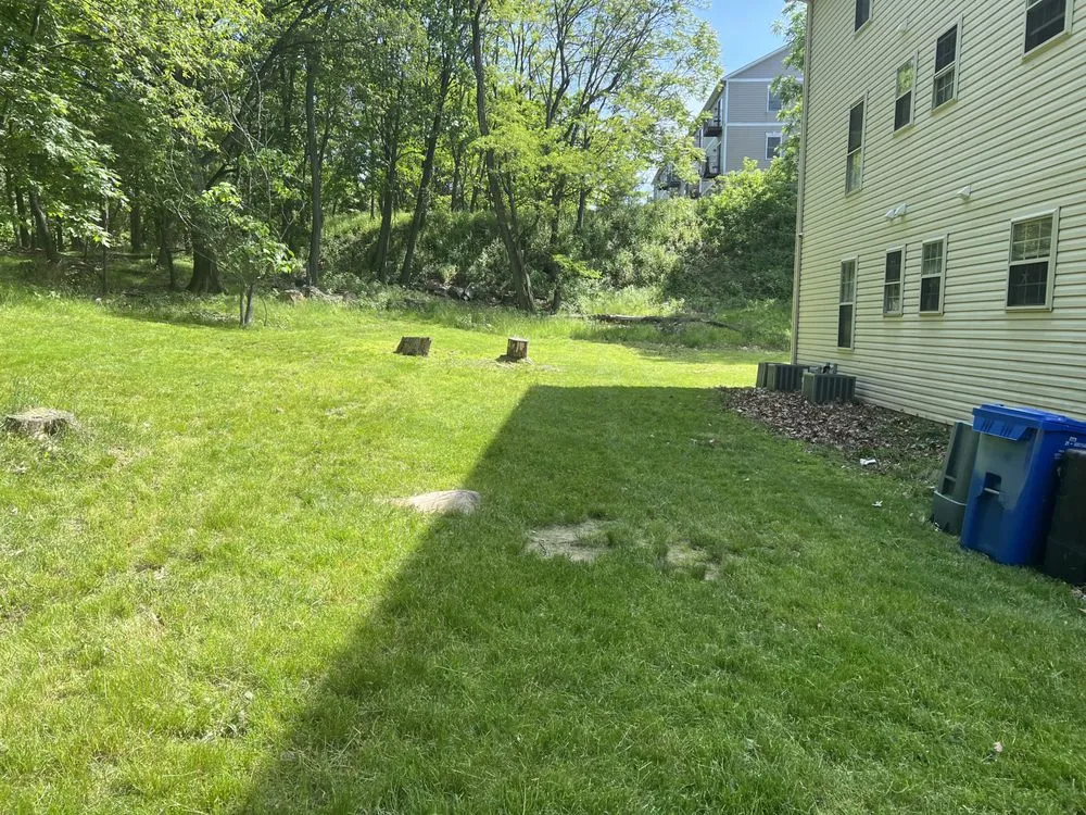 Trusted landscape design in Clifton, NJ - Cata Landscaping