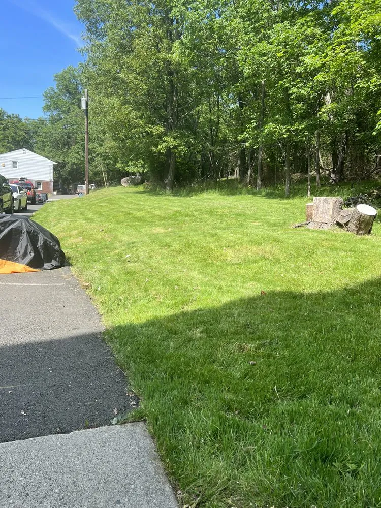 Professional landscape installation for residential properties in Clifton, NJ by Cata Landscaping