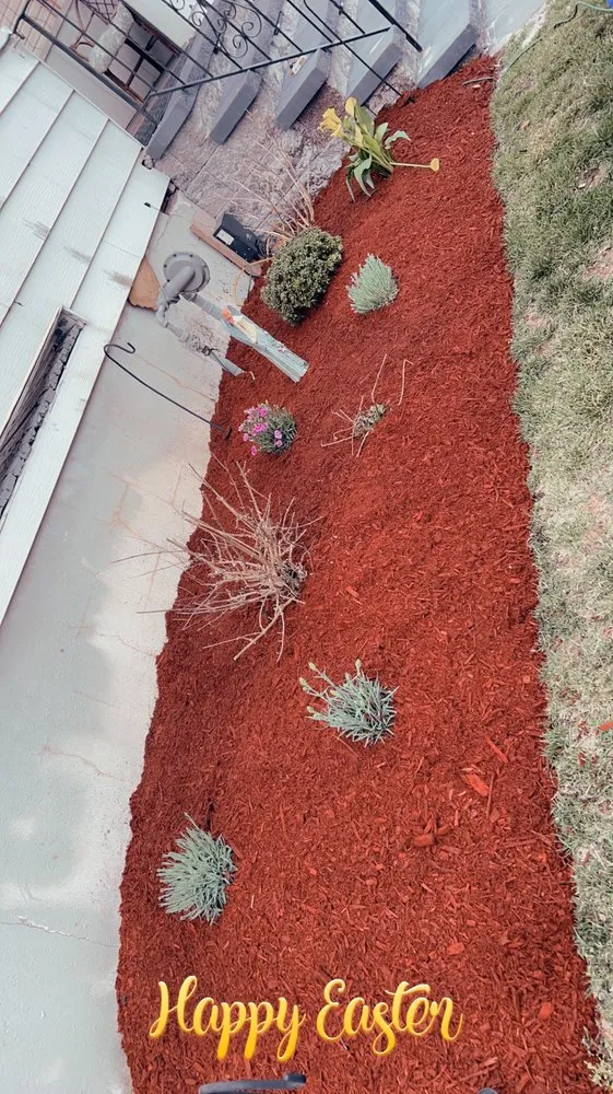 Reliable lawn care service in Clifton, NJ by Cata Landscaping