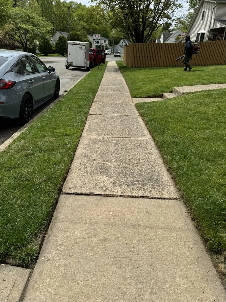 Reliable landscape design in Clifton, NJ by Cata Landscaping