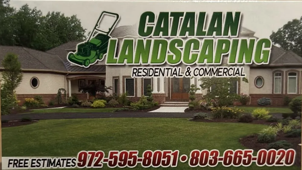 Top-rated yard cleanup service in Dallas, TX by Catalan Landscaping