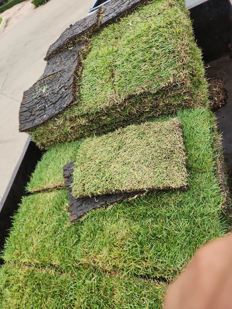 Affordable landscaping services experts serving Dallas, TX - Catalans Lawn Service