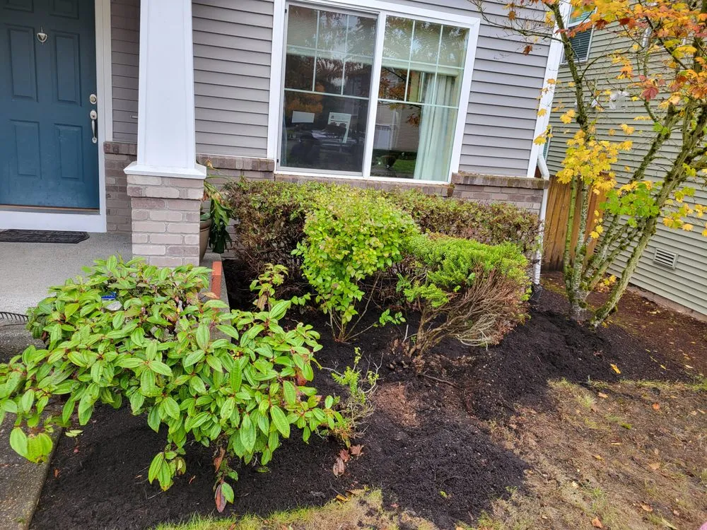 Reliable landscape installation experts serving Bellevue, WA - Cataleya's Landscaping Services