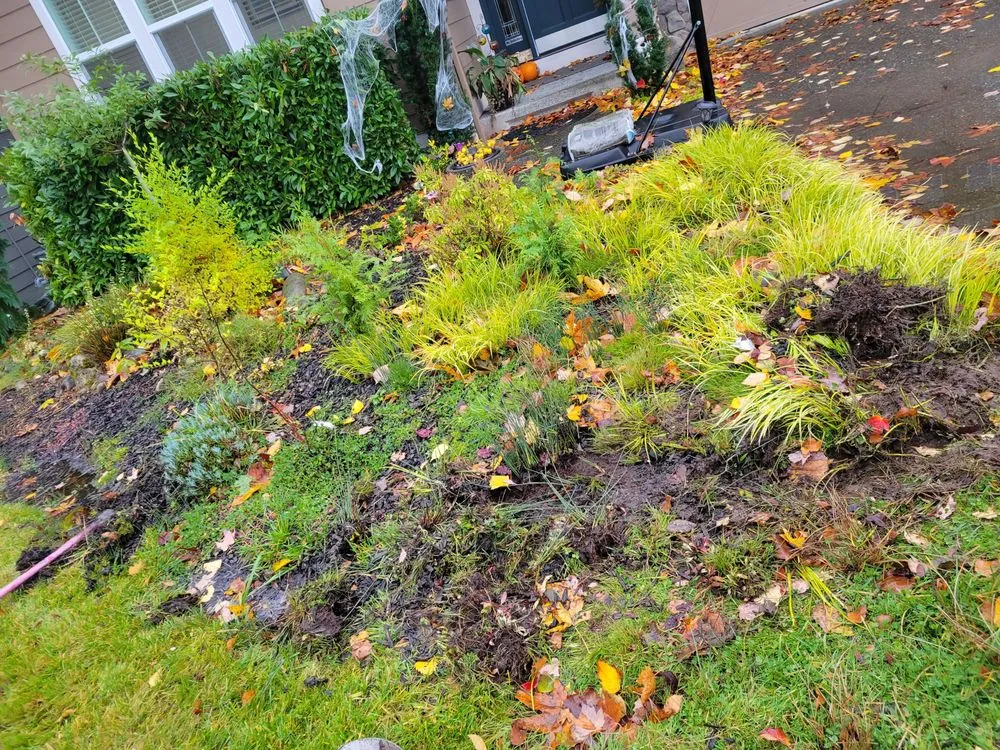Custom yard maintenance near you across Bellevue, WA - Cataleya's Landscaping Services