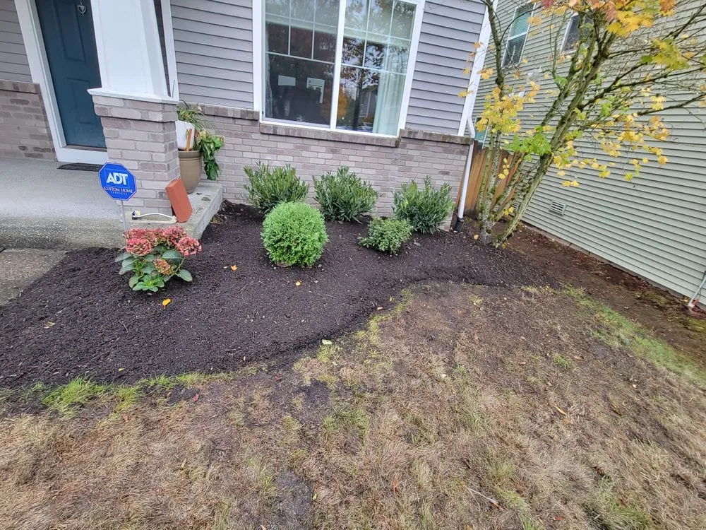 Top-rated outdoor landscaping for homes across Bellevue, WA - Cataleya's Landscaping Services