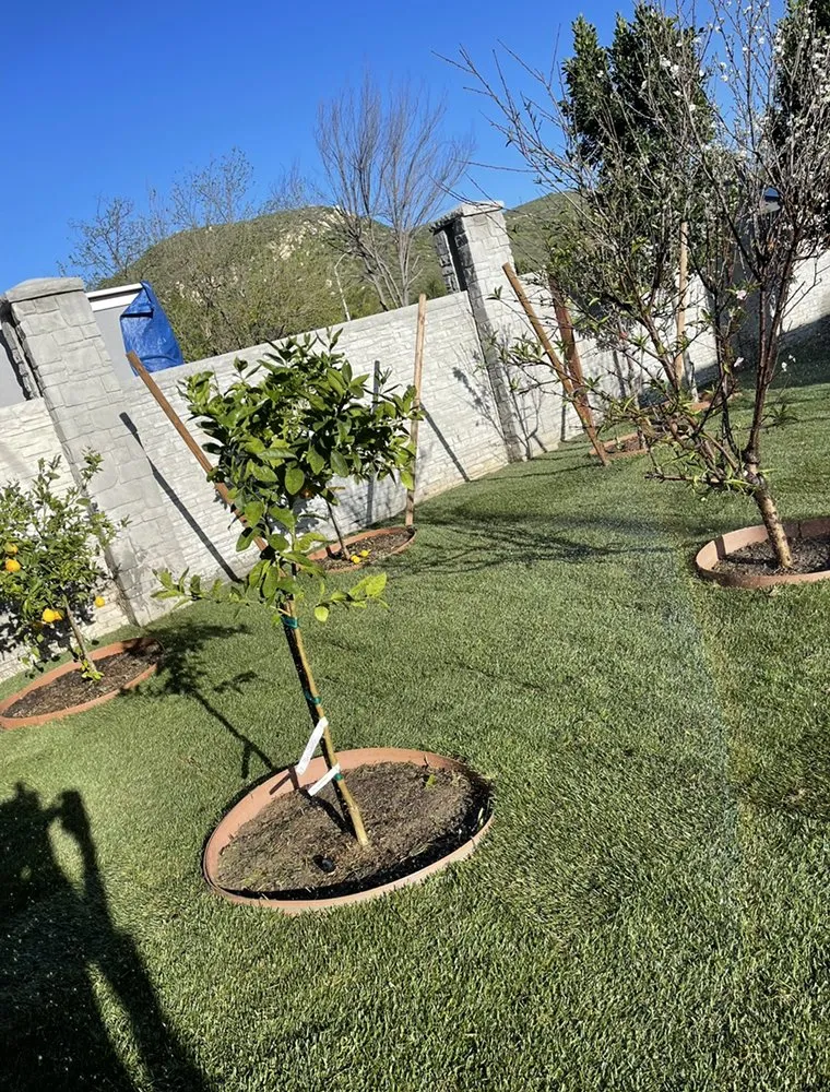 Professional lawn mowing service for year-round maintenance in Oceanside, CA by Catalina Landscape