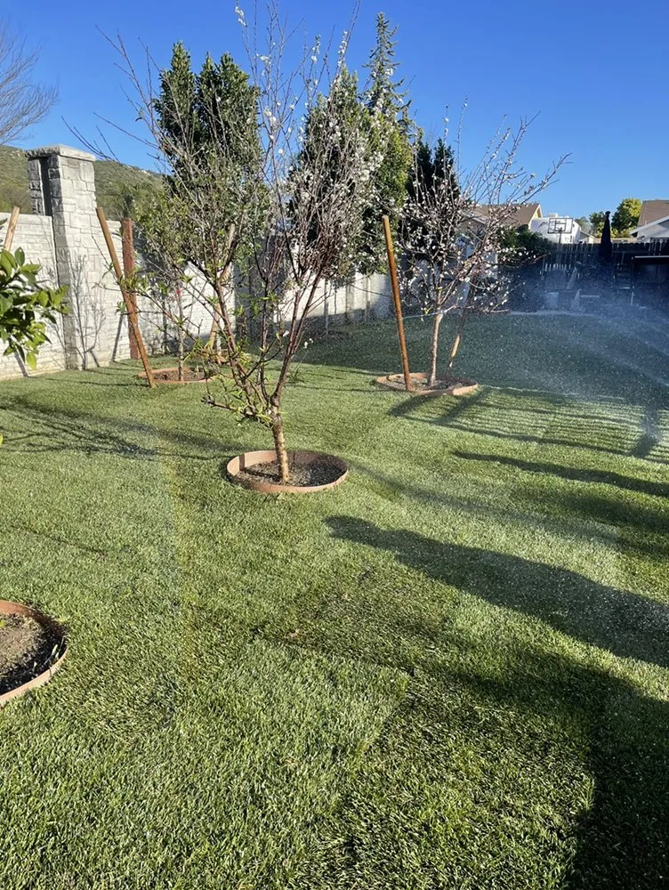 Top-rated lawn mowing service experts serving Oceanside, CA - Catalina Landscape