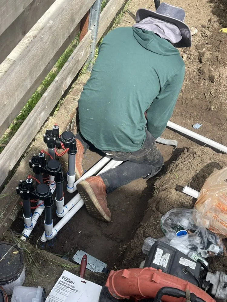 Custom yard maintenance near you across Oceanside, CA - Catalina Landscape