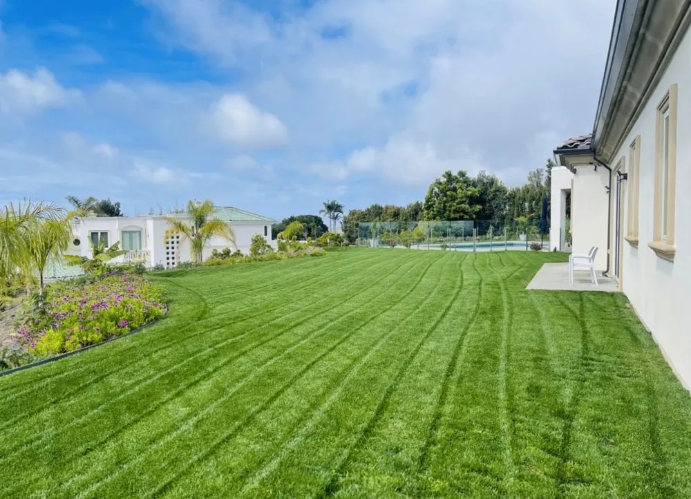 Top-rated residential landscaping experts serving Oceanside, CA - Catalina Landscape