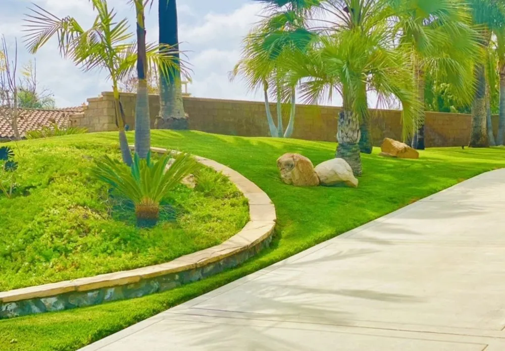 Expert residential landscaping experts serving Oceanside, CA - Catalina Landscape