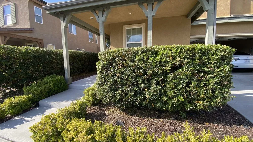 Top-rated landscaping services with custom design across Oceanside, CA - Catalina Landscape