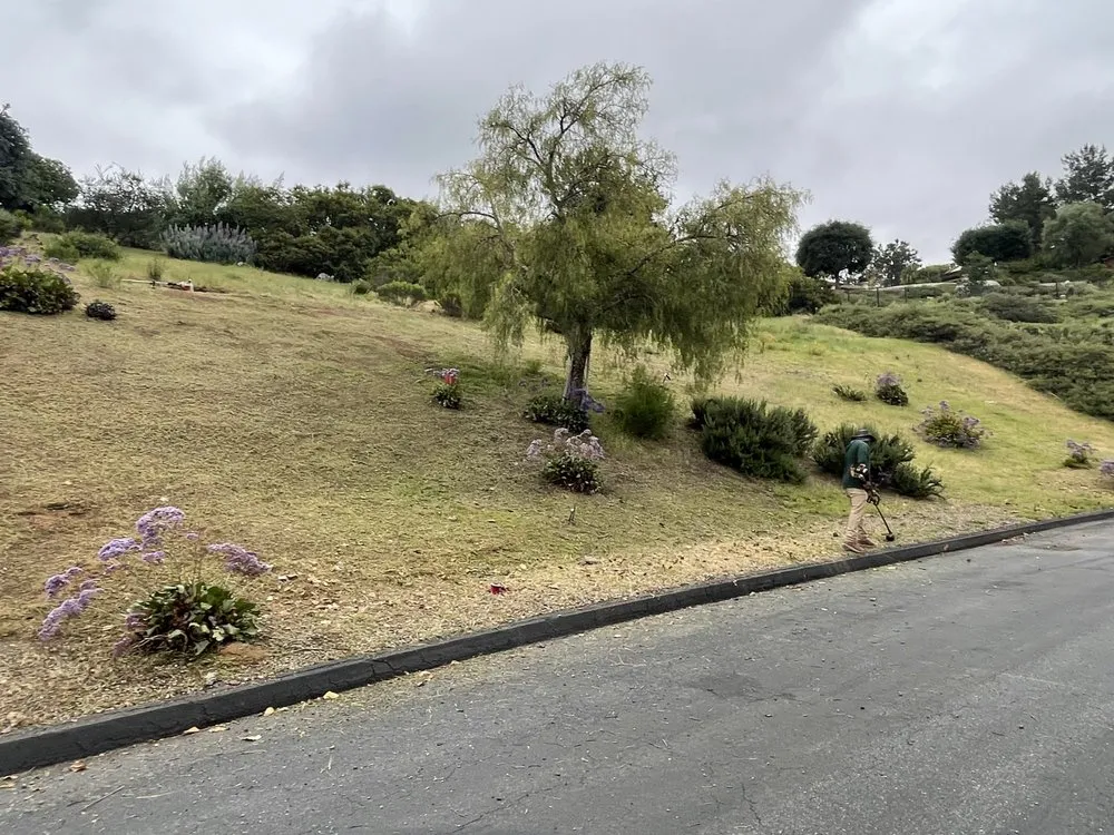 Affordable outdoor landscaping in Oceanside, CA - Catalina Landscape