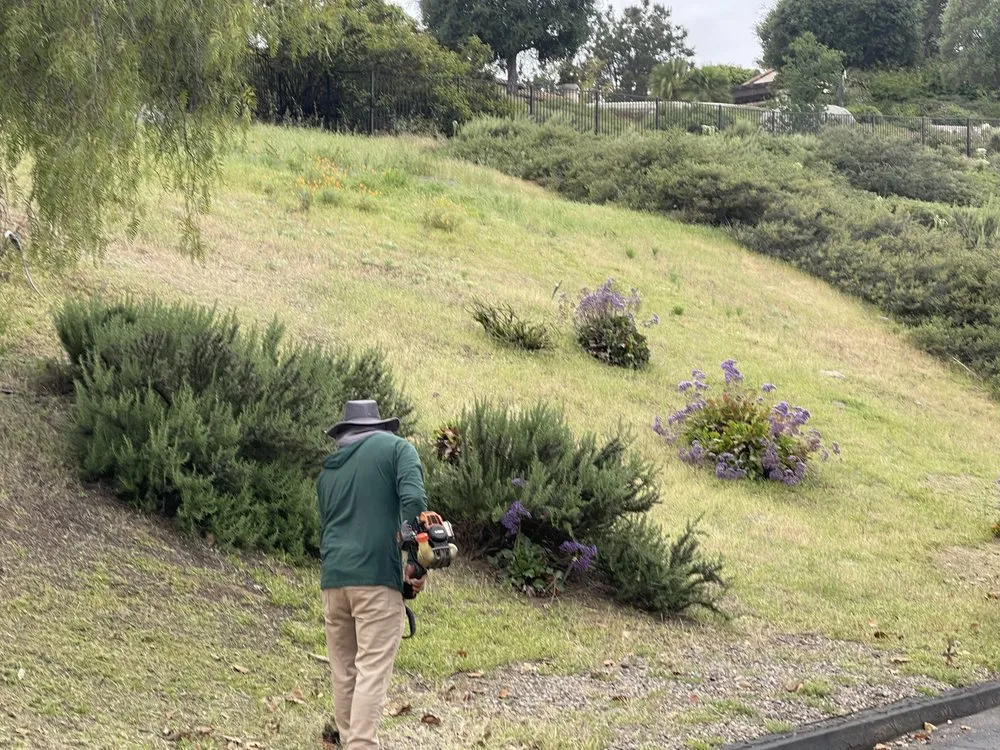 Local garden landscaping near you across Oceanside, CA - Catalina Landscape