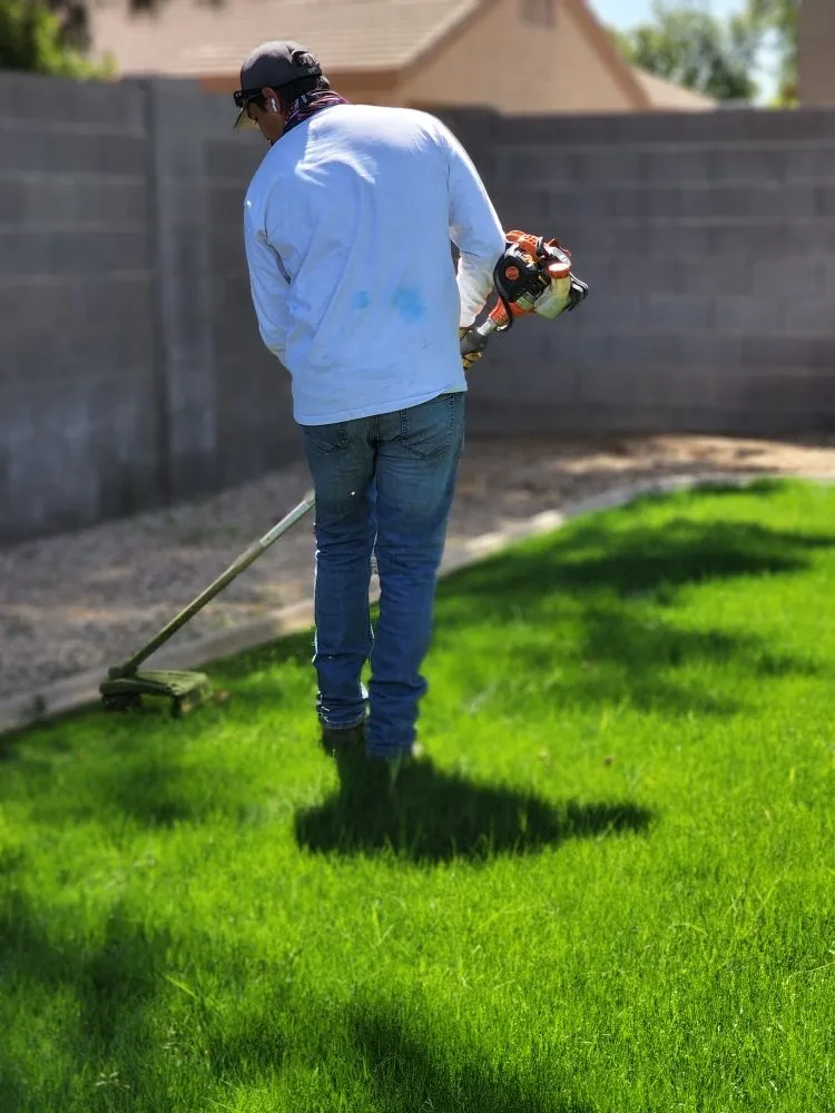 Affordable landscape installation in Mesa, AZ by Catalina Landscaping