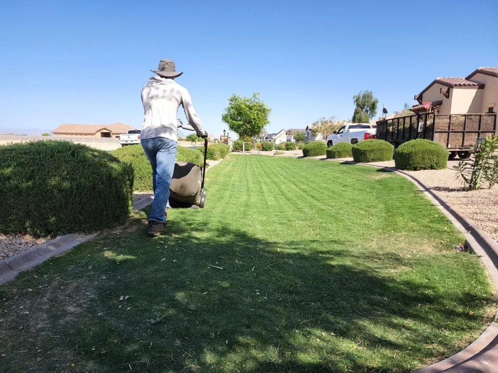 Reliable yard cleanup service for homes across Mesa, AZ - Catalina Landscaping