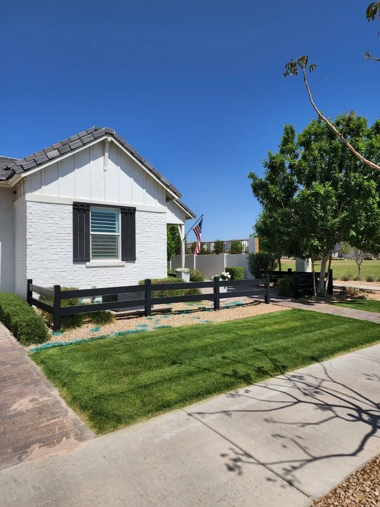 Custom yard cleanup service experts serving Mesa, AZ - Catalina Landscaping