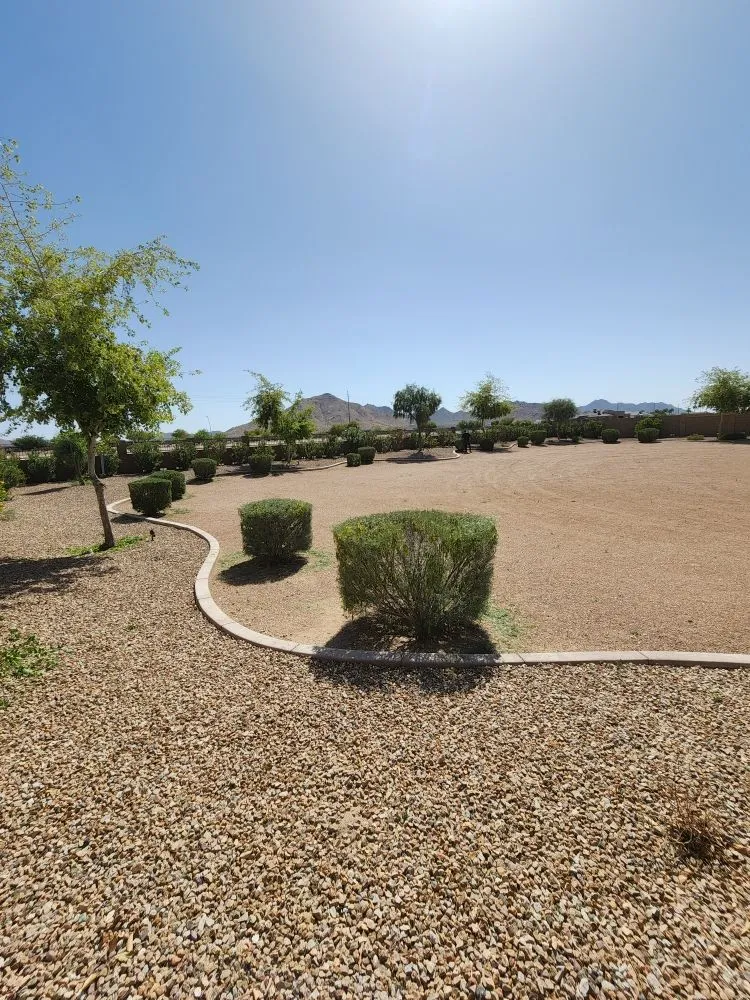 Trusted landscape installation in Mesa, AZ by Catalina Landscaping