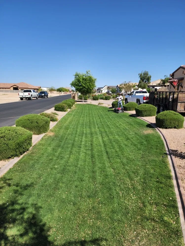 Top-rated landscape installation experts serving Mesa, AZ - Catalina Landscaping