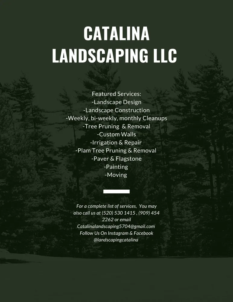 Reliable landscape installation experts serving Tucson, AZ - Catalina Landscaping