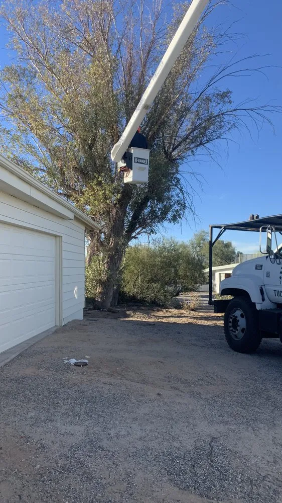 Affordable landscaping services experts serving Tucson, AZ - Catalina Mountain Landscaping