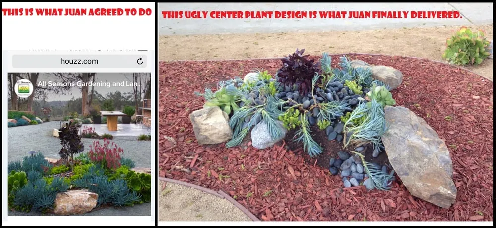 Local lawn care service in Carson, CA - Catalina's Landscaping