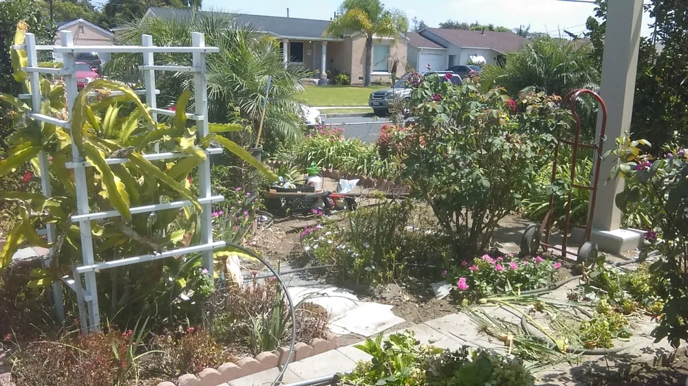 Top-rated landscape installation experts serving Carson, CA - Catalina's Landscaping