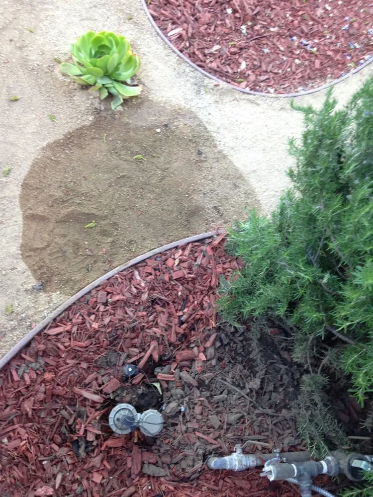 Trusted residential landscaping in Carson, CA by Catalina's Landscaping
