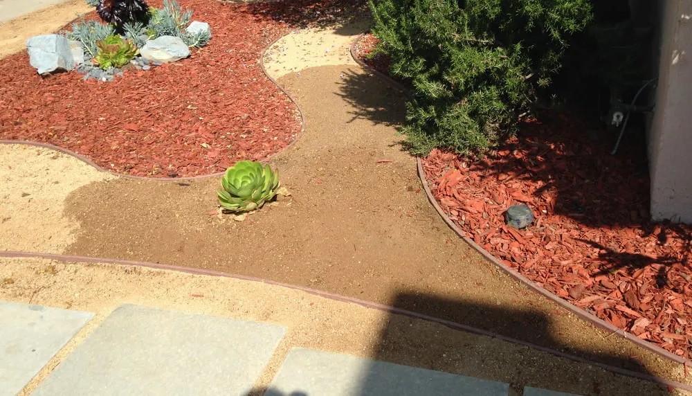 Reliable yard cleanup service in Carson, CA - Catalina's Landscaping