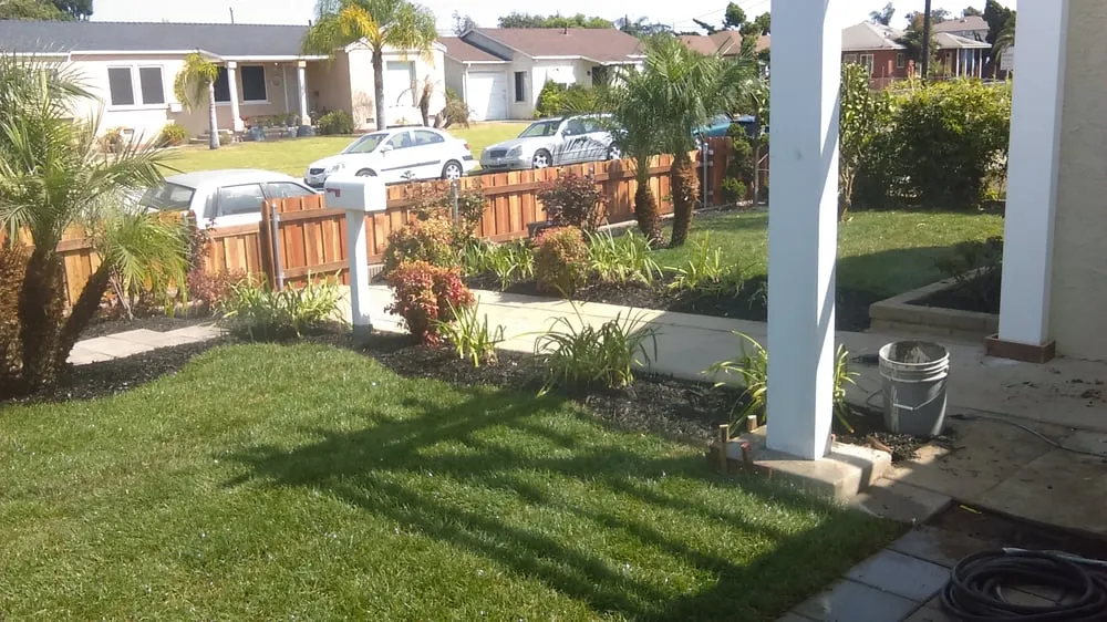 Trusted yard cleanup service for year-round maintenance across Carson, CA - Catalina's Landscaping