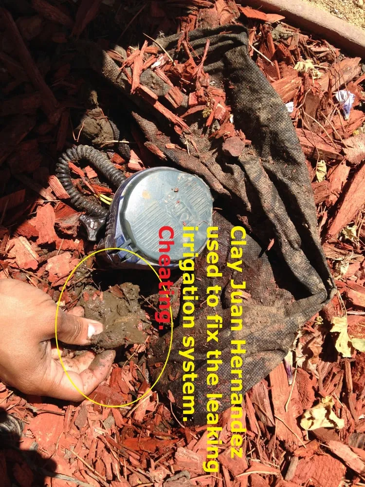 Expert landscape design in Carson, CA by Catalina's Landscaping